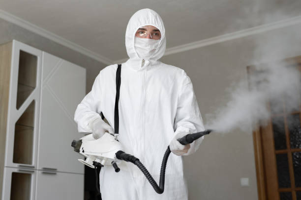 Best Forensic Mold Investigation  in Brownlee Park, MI